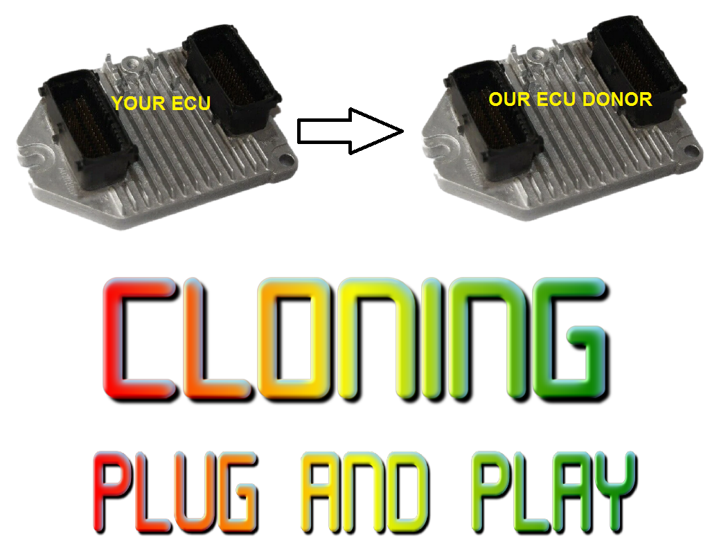 Vauxhall Vectra ECU Engine Control Unit 55350979 5WK9. PLUG AND PLAY - Glasgow Car Parts Store