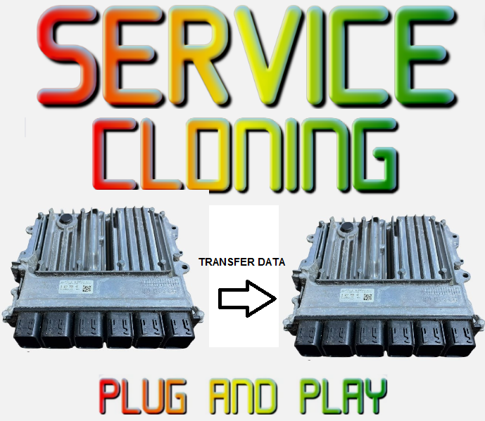 44999432