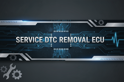 SERVICE DTC RMOVAL ECU,USE THESE INSCRIPTIONS